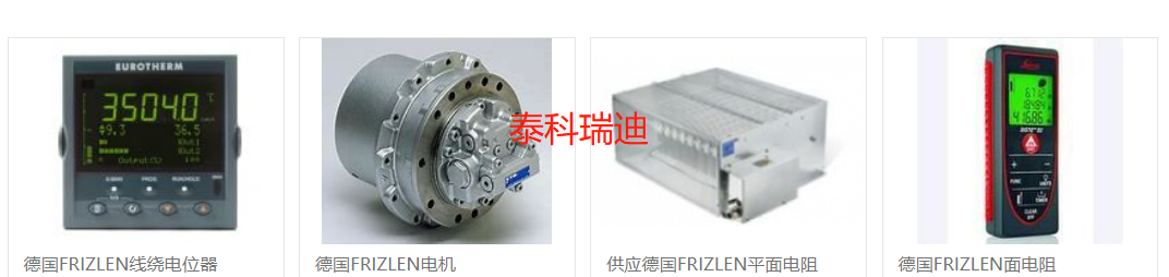 德国FRIZLEN 电机