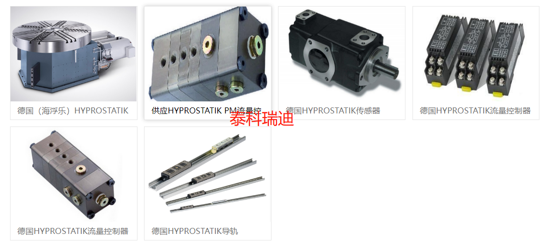 德国 Hyprostatik Schönfeld GmbH流量控制器