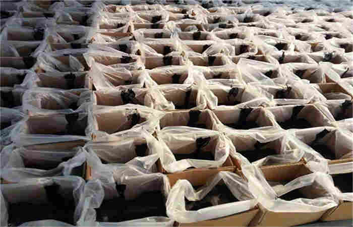 安康道路密封胶实体工厂/2023