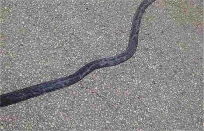 昆明沥青路面裂缝贴缝带施工要点/2023