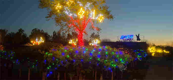 节日亮化设计烘托节日氛围