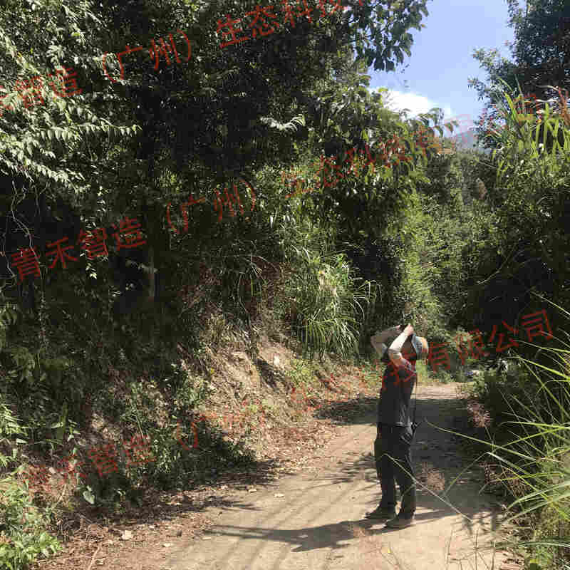 青禾智造动植物本底数据调查