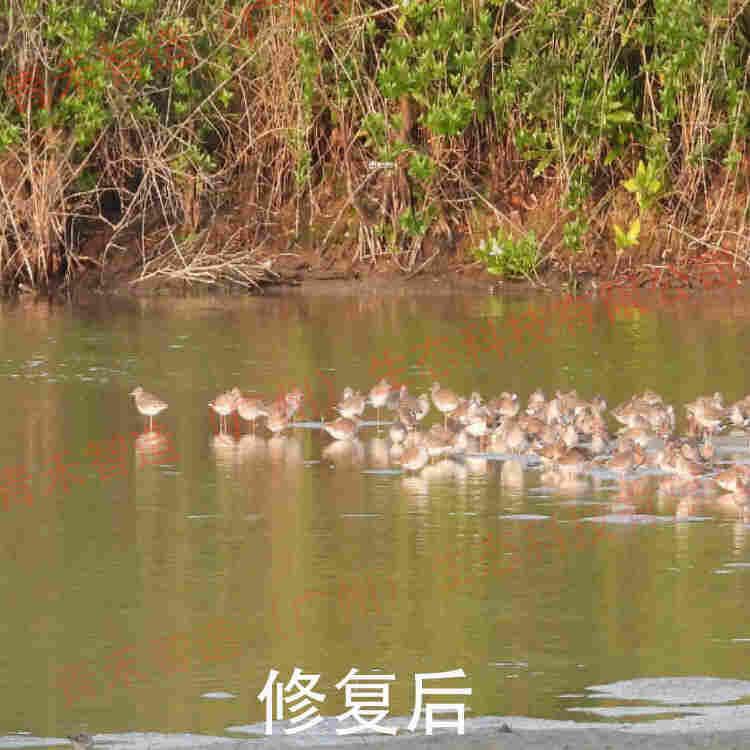 青禾智造生态环境修复服务