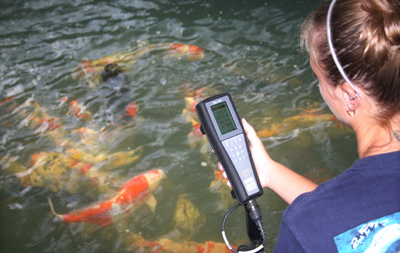 proplus多参数水质分析仪