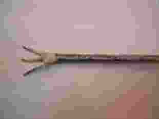 通讯电缆6XV1830-0EH10生产厂