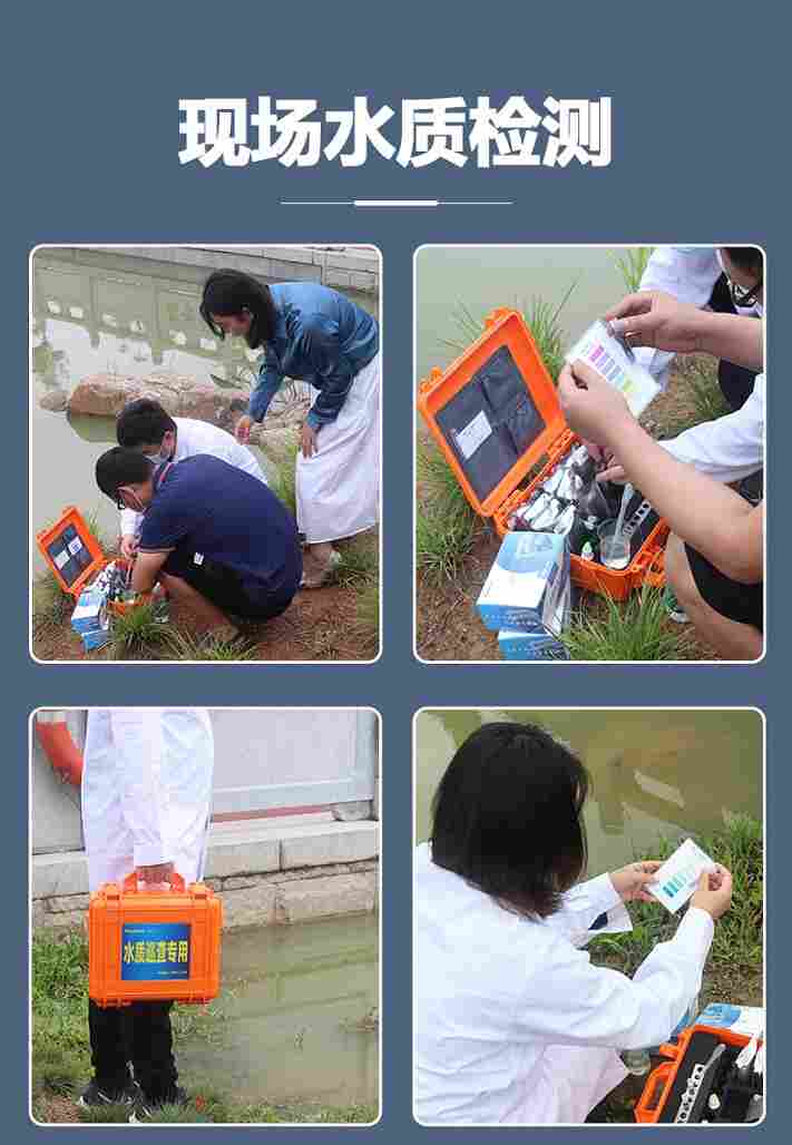 涛克 水质快速试剂盒锰测试包0-20mg/l试纸比色管