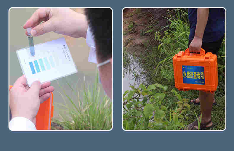 涛克 水质快速试剂盒锰测试包0-20mg/l试纸比色管