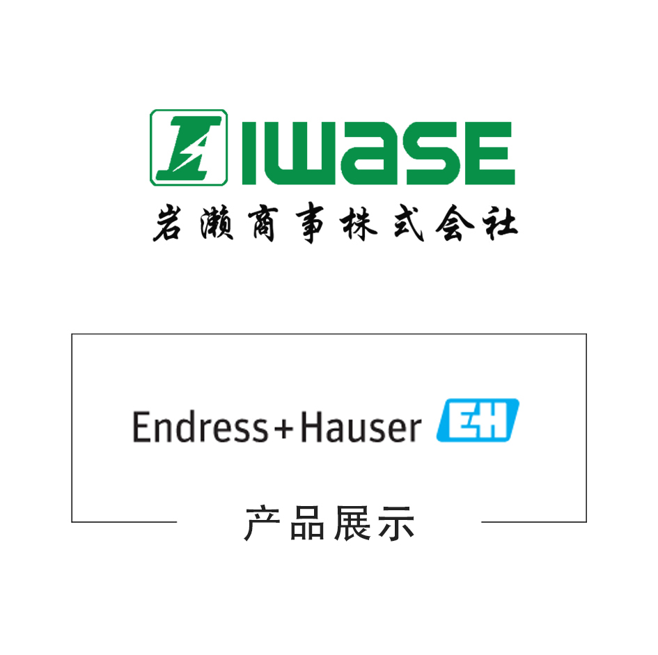  Endress+Hauser恩德斯豪斯/电磁流量计/压力变送计/雷达物位计/PMP23