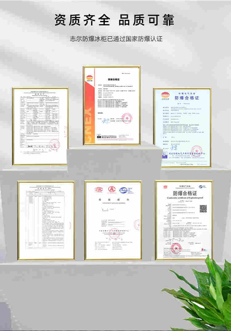 广西南宁防爆冰柜BL-1600正规厂家