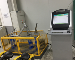 GB17761电动自行车架前叉振动试验机DMS-ZGD