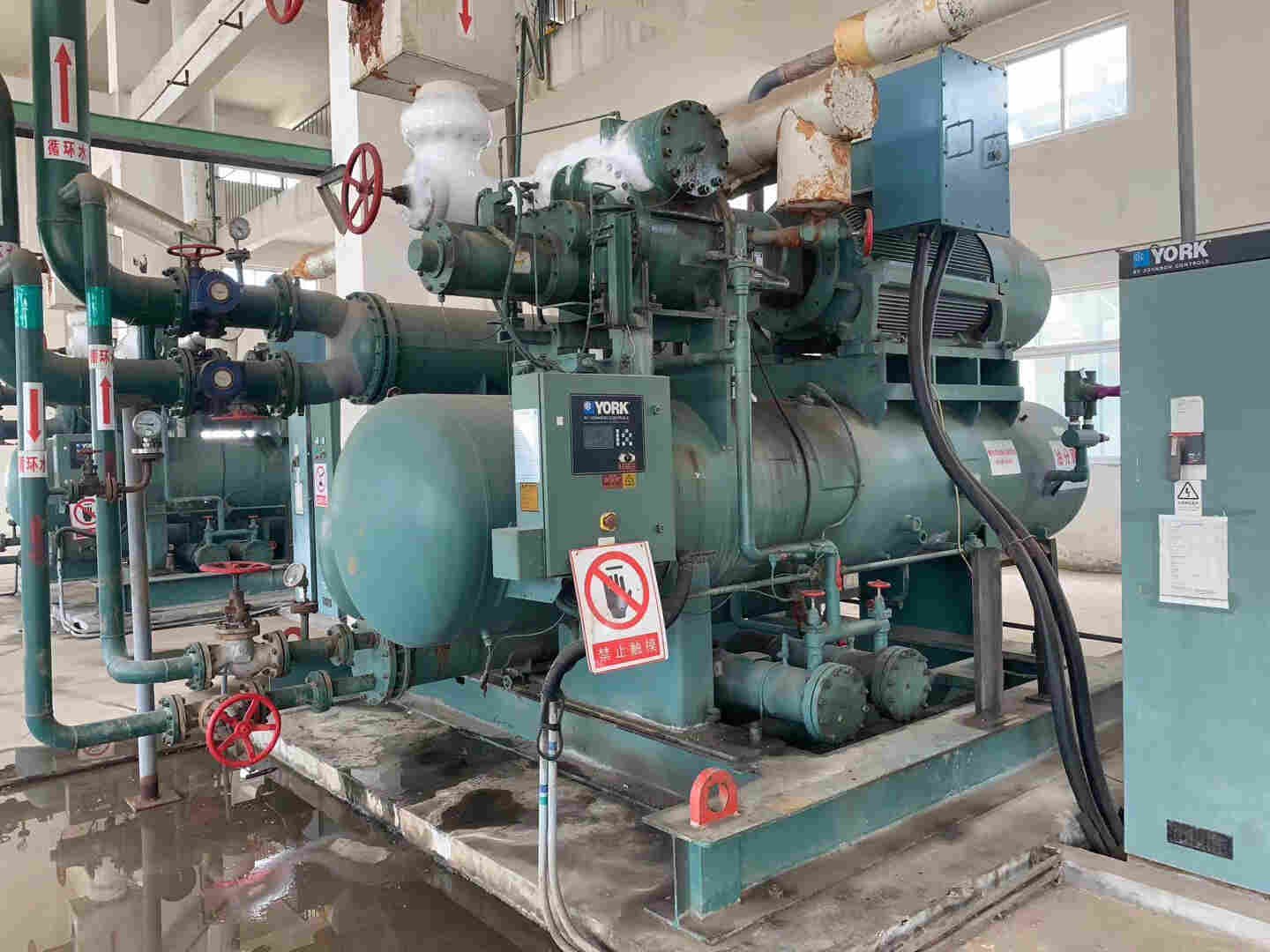 IMG_8568.JPG IMG_8568.JPG