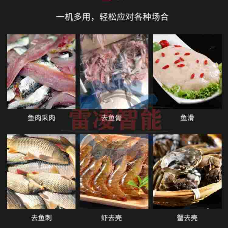 全自动鱼肉采肉机 虾肉鱼肉采肉机 小型鱼肉采肉机