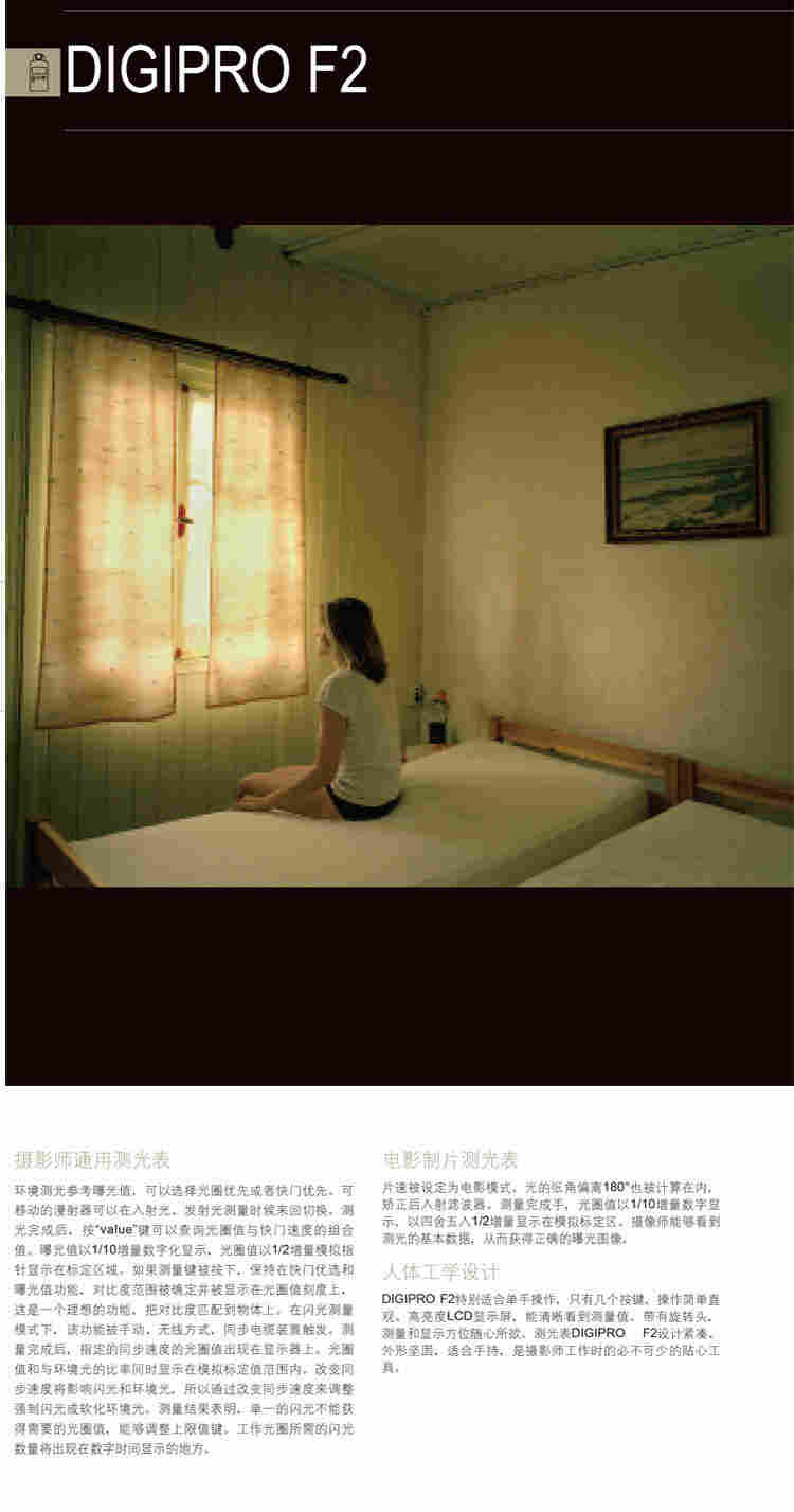 測光表 曝光表 DIGIPROF2