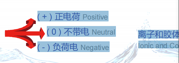 什么是流动电流仪