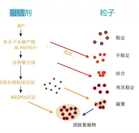 什么是流动电流仪