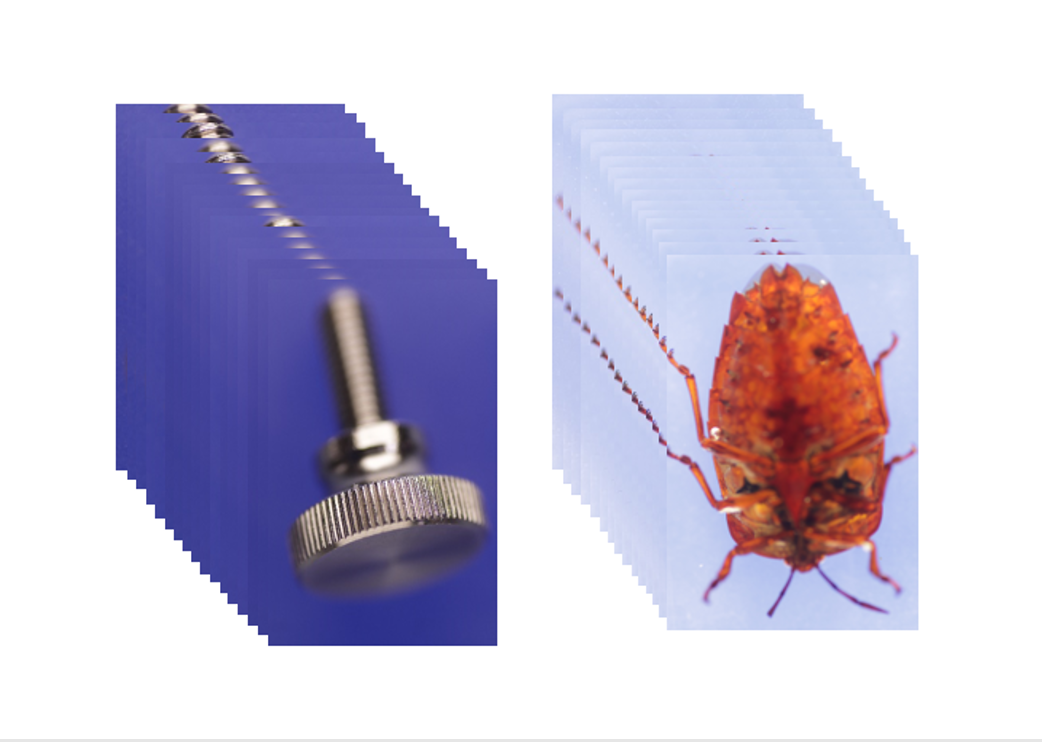 微距拍摄-景深叠加拍摄