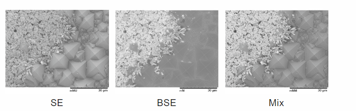 扫描电子显微镜SEM应用简介