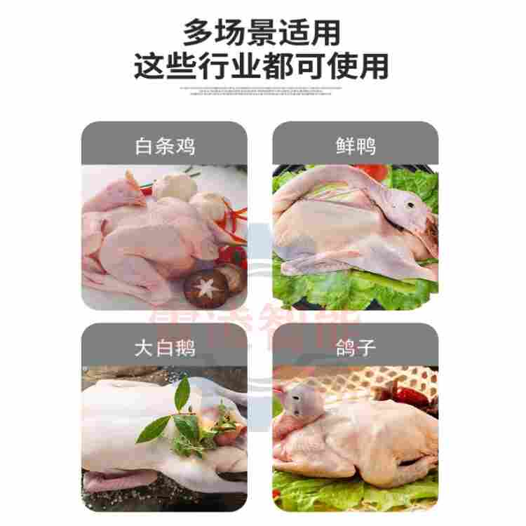 全自动真空吸肺机 家禽真空吸肺机 鱼类去内脏设备