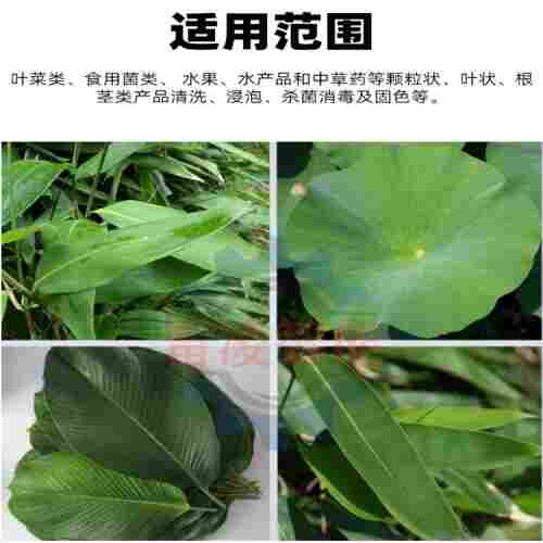 毛辊粽叶清洗机 全自动荷叶清洗机 粽子加工设备