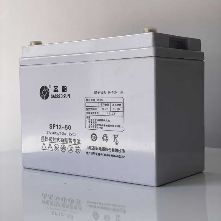 圣阳蓄电池FTB12-100 12V100AH狭长型电池