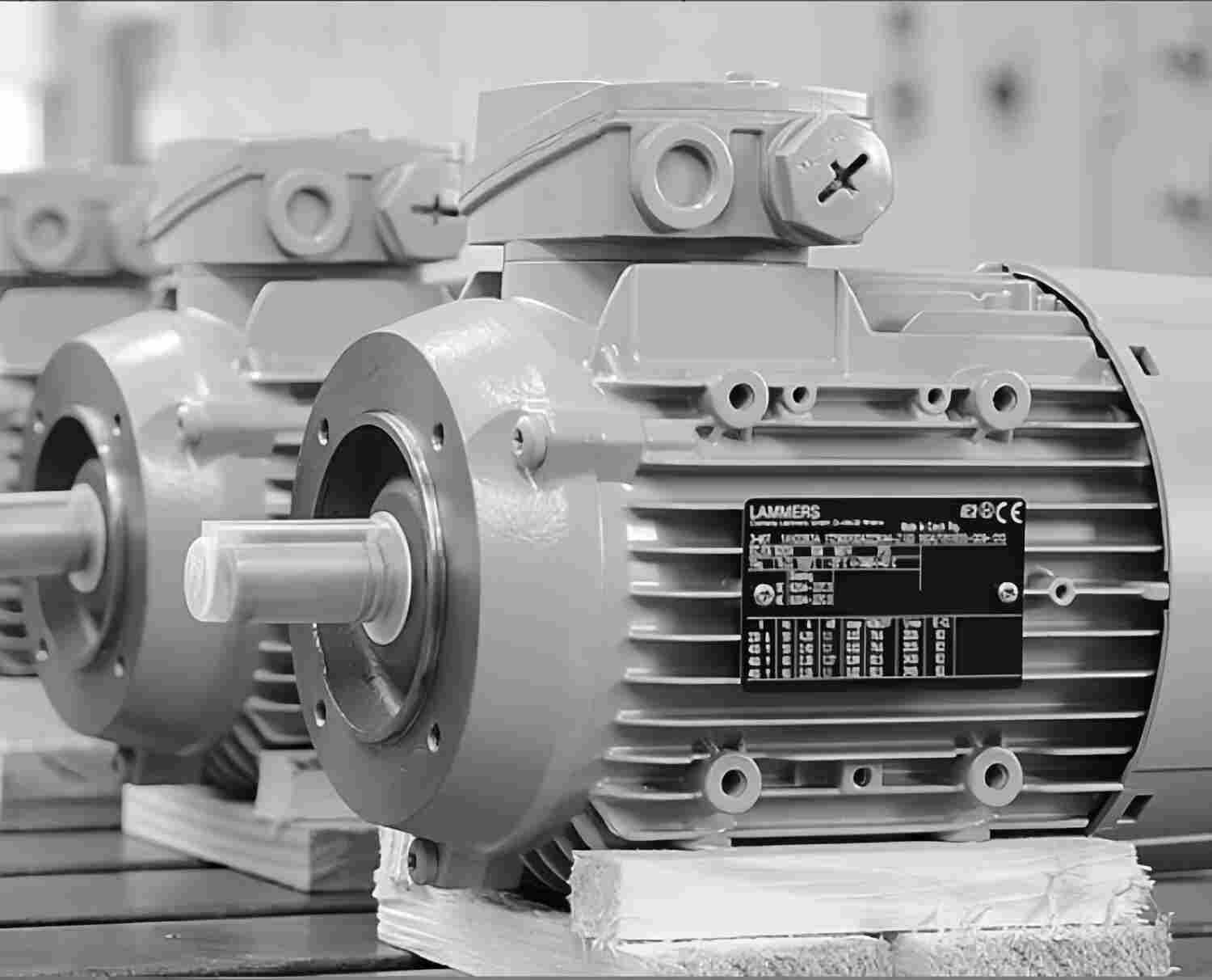 经销LAMMERS高效电机