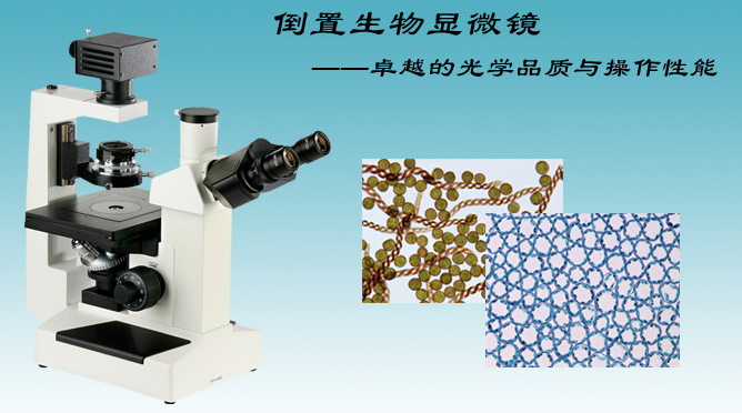 鎖定軌溫測量儀