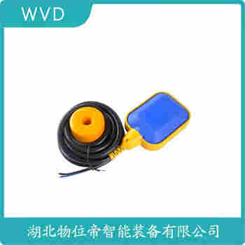 FYKG 25不锈钢干簧管式液位浮球开关 WVD