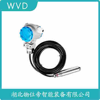 分體投入式液位變送器 FMX167-A3AMF1A3 WVD