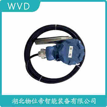 投入式靜壓液位傳感器 YT10FW-03 WVD