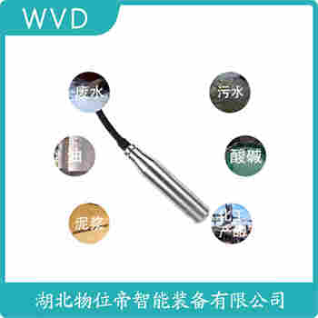 投入式液位變送器 YX-136FT WVD