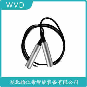 投入式靜壓液位傳感器 LPB8601CNN5 WVD