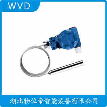 分體投入式液位變送器 LTJ11-5000/05-LN WVD