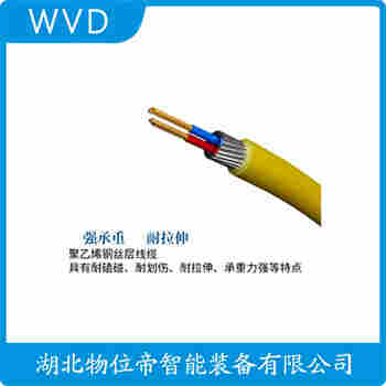 分體投入式液位變送器 SUP-P262B-B-01-R2-WG-0-N6-4 WVD