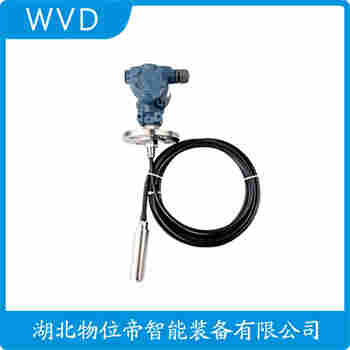 分體投入式液位變送器 MPM416W-2E24-2m WVD