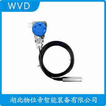 分體投入式液位變送器 FR-5mWC-G40-G WVD