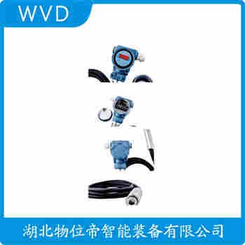 分體投入式液位變送器 LTJ11-5000/05-LN WVD