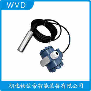 投入式液位變送器 ZY-181 WVD