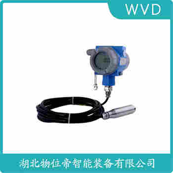 分體投入式液位變送器 CN-JKDZL-463 WVD