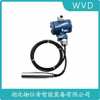 投入式液位變送器 WY03F307E28M3 WVD