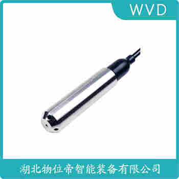 分體投入式液位變送器 LH501G12A311-300-L500 WVD