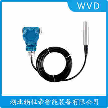 分體投入式液位變送器 CYW12C-X-L5-B5-A1-21-C-G8-D WVD