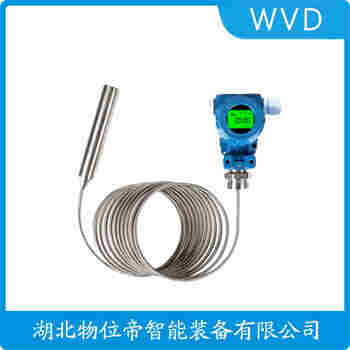 投入式液位變送器 SEIT2090FG1AA8100 WVD