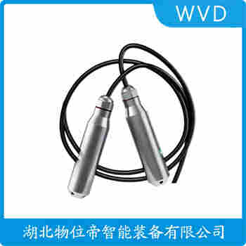 分體投入式液位變送器 URS-100A10-3000 WVD