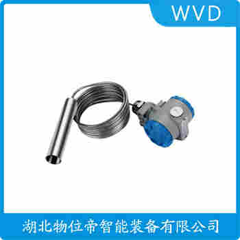 投入式液位變送器 P30-13005 WVD