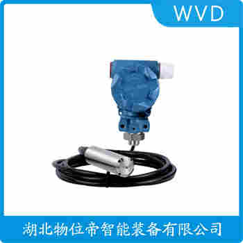 分體投入式液位變送器 LH501G12A311-300-L500 WVD