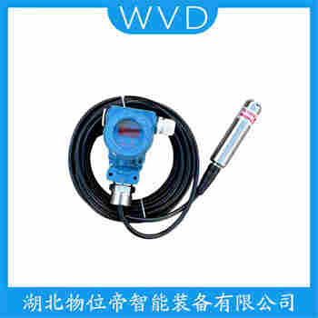 投入式液位變送器 SEIT2090FG1AA8100 WVD