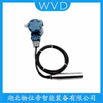 投入式液位變送器 FY2088LR WVD