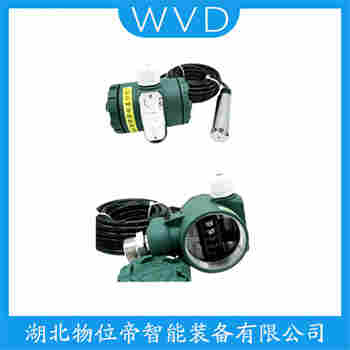 LMK38 分體投入式液位變送器工作原理