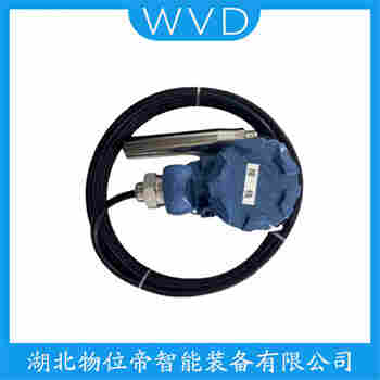 分體式靜壓液位傳感器 ZDW99ABPYSL WVD