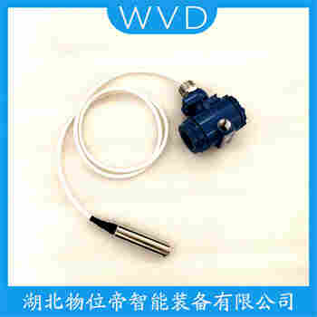 分體投入式液位變送器 DP-2126-M WVD